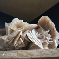 Rosa del Deserto Pietra Minerale dalla Tunisia 5kg