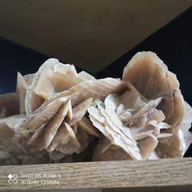 Rosa del Deserto Pietra Minerale dalla Tunisia 5kg