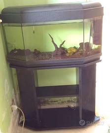 Acquario 