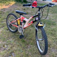 Bicicletta Mountain Bike