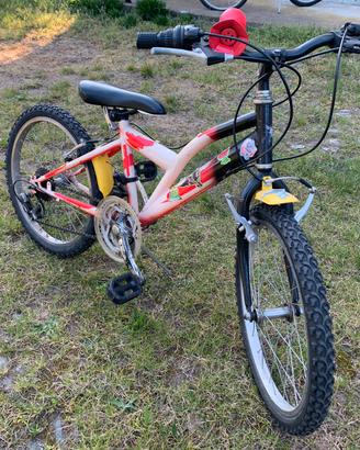 Bicicletta Mountain Bike