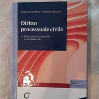 Diritto processuale civile 2 Processo di cognizion