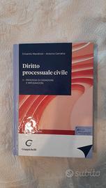 Diritto processuale civile 2 Processo di cognizion