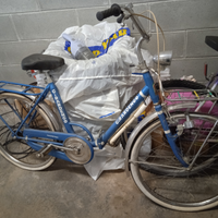 Bicicletta Graziella