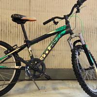 bicicletta  
