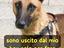 Immagine 6