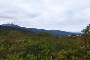Terreno agricolo con vista mare