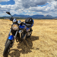 Kawasaki ER5 + Regal0_Borsa