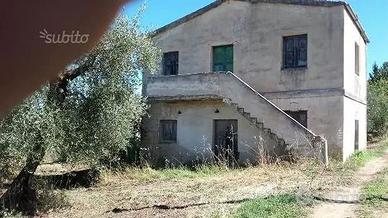 Caratteristico terreno a Timmari