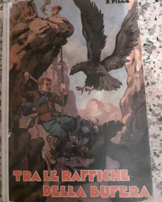 Libro vintage Tra le Raffiche della Bufera