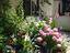 Immagine 15