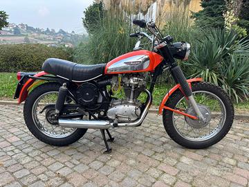 Ducati scrambler 350