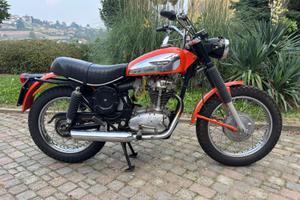 Ducati scrambler 350