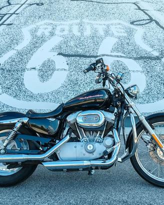 Harley-Davidson 883 Sportster Custom