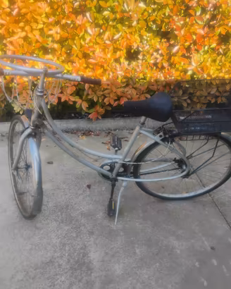 Bicicletta Donna 