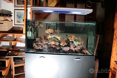 Acquario