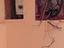 Immagine 8