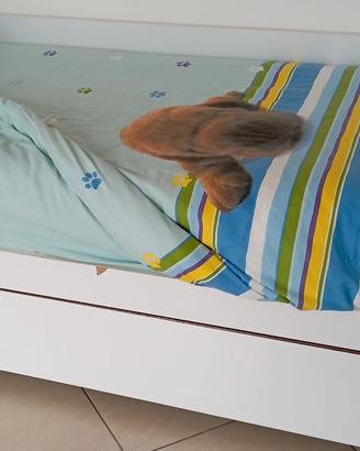 Letto singolo