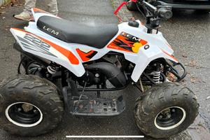 Quad LEM 110cc