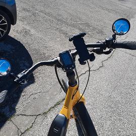 bici elettrica