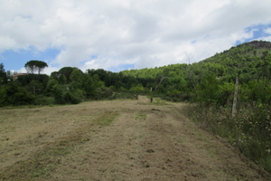Terreno Agricolo Lago di Piediluco