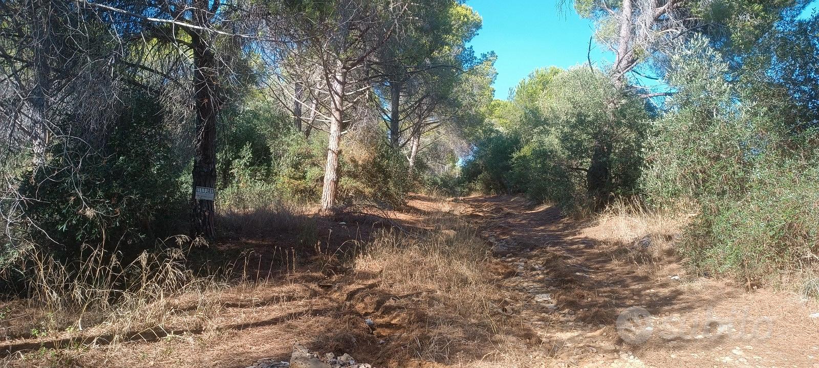 Terreno a Follonica - Vista 2