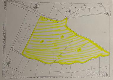 Terreno Boschivo mq. 66.300