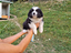 Immagine 28
