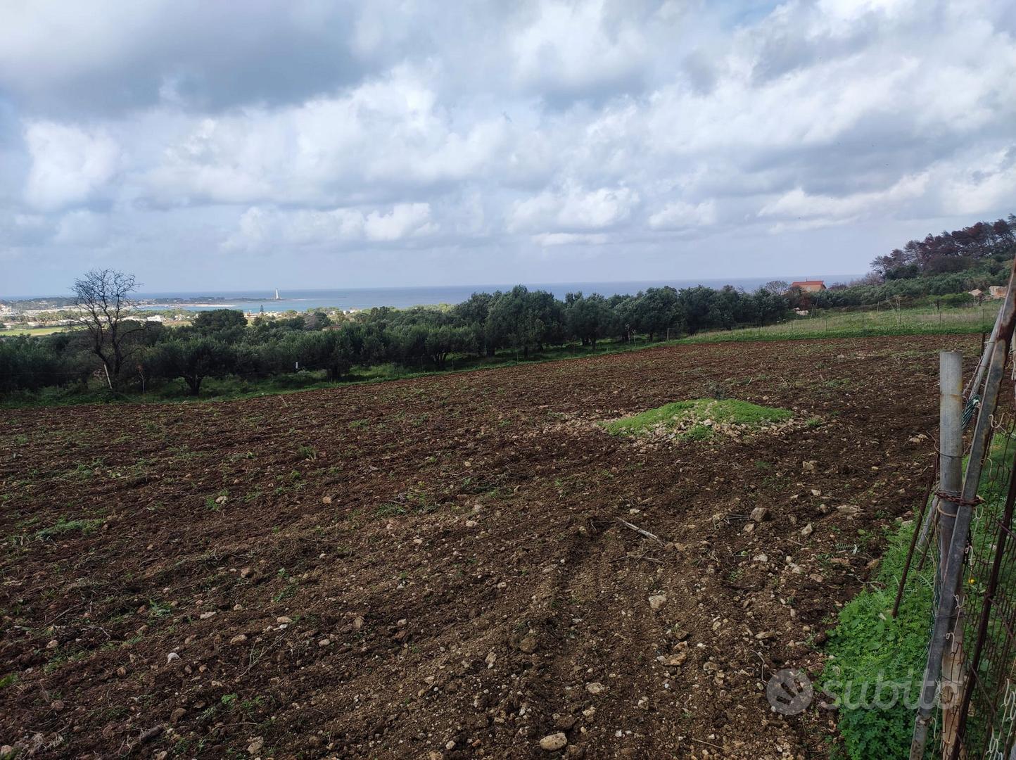 terreno Agricolo san vito lo capo - Vista 3