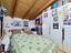 Immagine 13