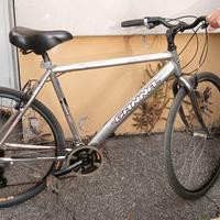 Bicicletta da uomo