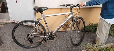 Bicicletta da uomo