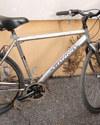 Bicicletta da uomo