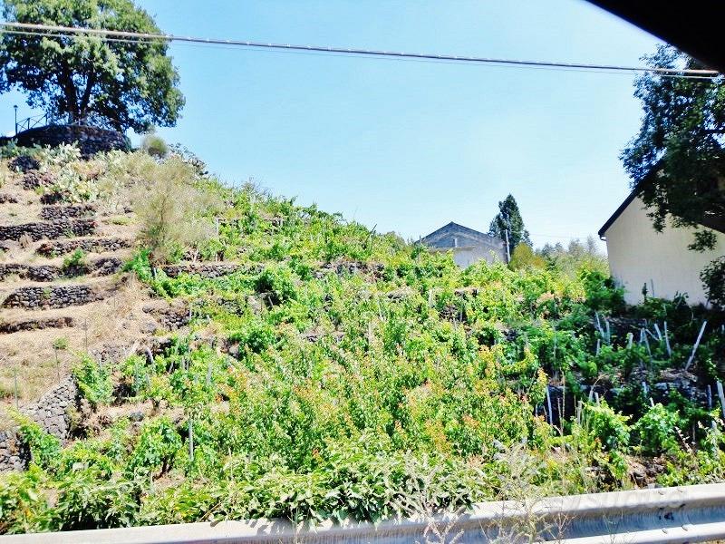 Rustico+2500mqTerreno accanto Villa FrancoBattiato - Vista 5