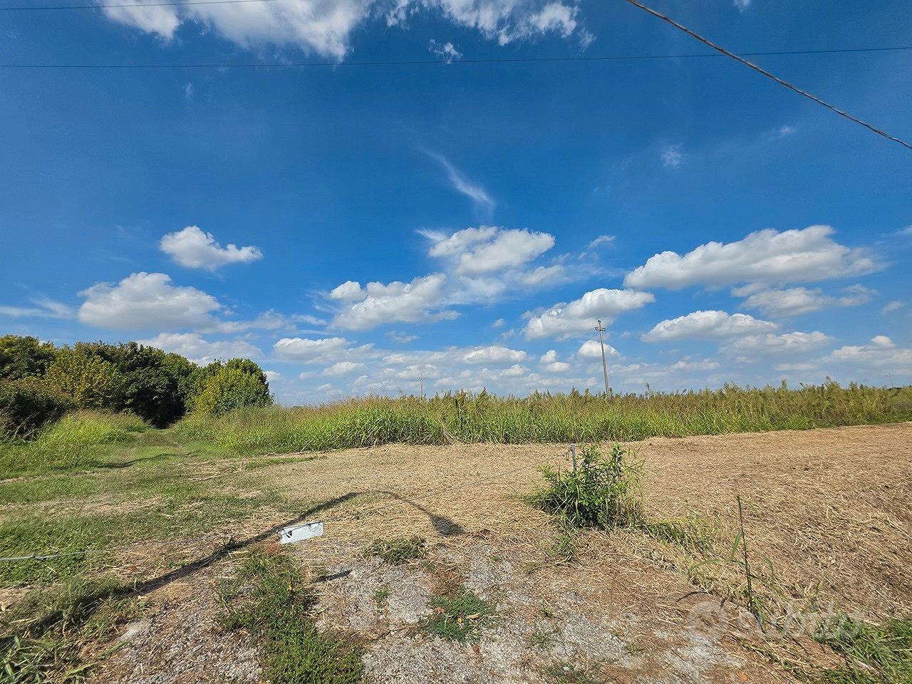 Erreno agricolo 2.23 Ha Copparo (FE) 30.000 Euro - Vista 5