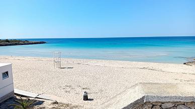Montedarena