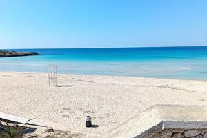 Montedarena