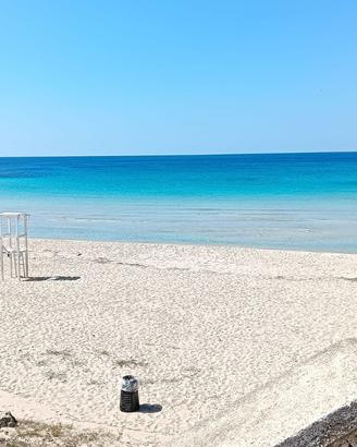 Montedarena