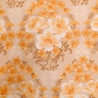 Carta da parati Vintage Originale 