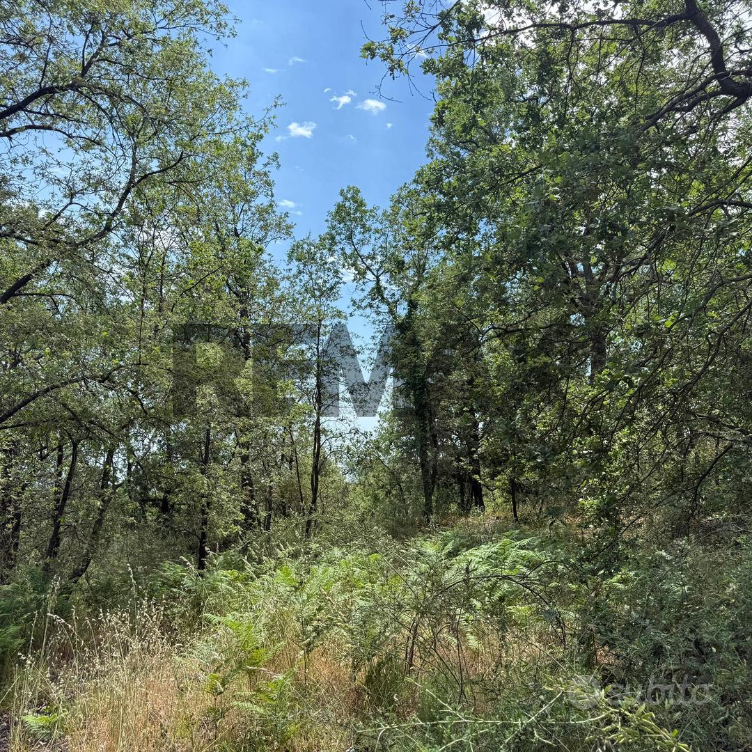 Terreno - Zafferana Etnea - Vista 4