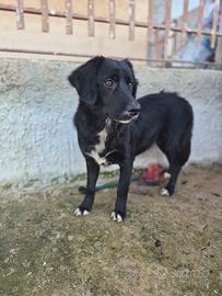 Raffaella Cucciola , taglia contenuta