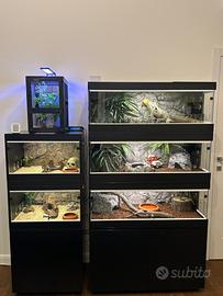 Terrari serpenti / rettili / mobile supporto