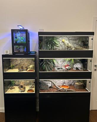 Terrari serpenti / rettili / mobile supporto
