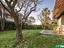 Immagine 24