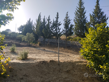 Vendita campagna Piazza Armerina (EN)