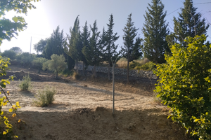 Vendita campagna Piazza Armerina (EN)