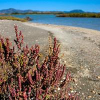 Last minute Settembre