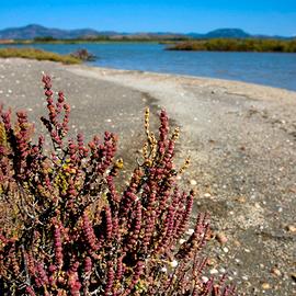 Last minute Settembre