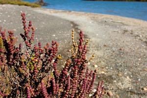 Last minute Settembre