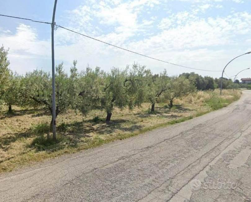 Terreno di 1940 m² a San Vito Chietino - Vista 3
